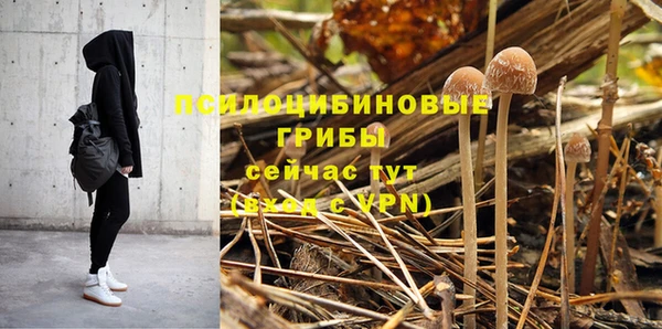 винт Абаза