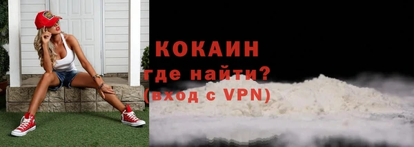 винт Абаза