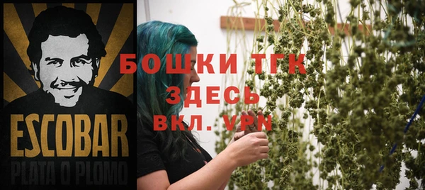 винт Абаза